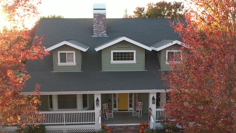 Best Roof Moss and Algae Removal  in East Douglas, MA